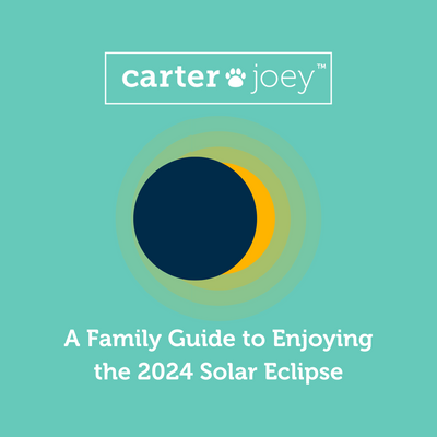 A Family Guide to Enjoying the 2024 Solar Eclipse